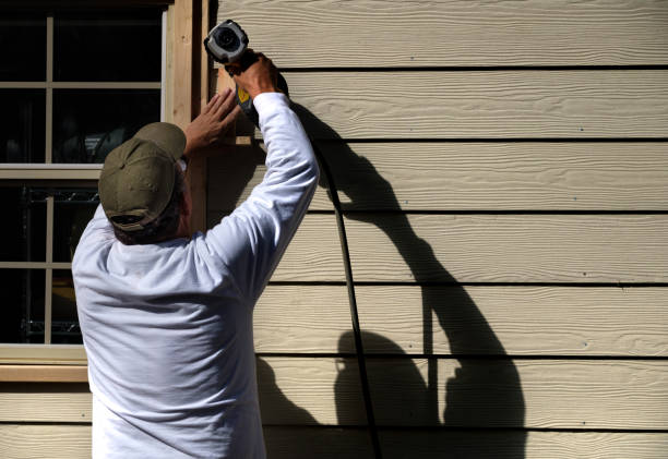 Best Custom Trim and Detailing for Siding  in Dearborn, MI